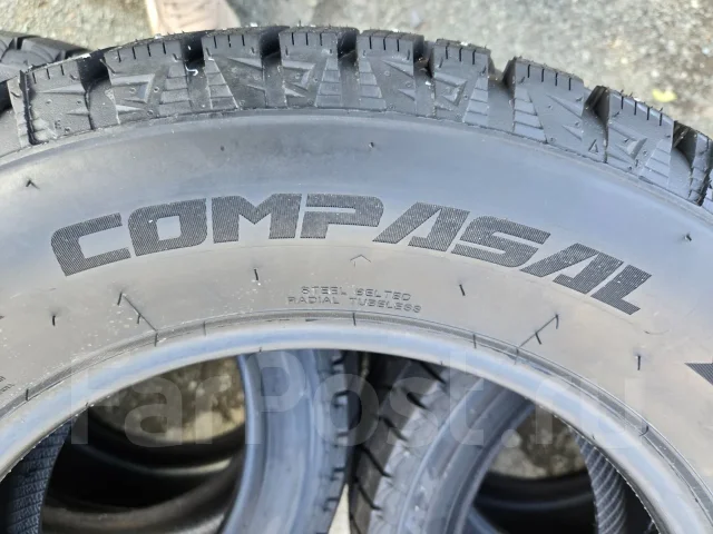 Compasal Winter Stud. ������, ����������, 2026 ���, ����� ����