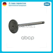 ������ ��������� AUDI A1 (8X1,8XK) A3 Sportback II (8PA) A3 II (8P7) A3 III (8V7,8VE) A3 II (8P1) A4 Allroad IV (8KH, B8) A4 Avant III (8ED, B7) A4 Av...