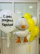 ���� ��������������. ����