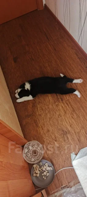 ����� ����� � ������ ���� ����