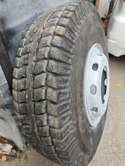 Forward Traction 310. �����������, 2025 ���, �/�, ����� �� 5 % ����