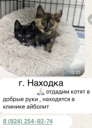 �����. ����