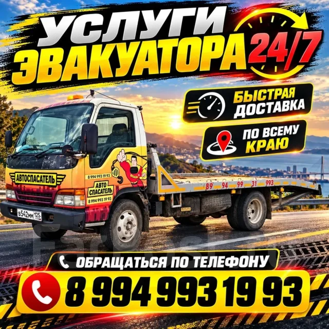 ����������. ����