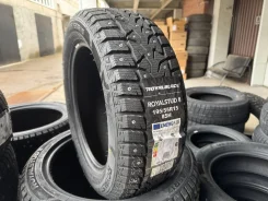 RoyalBlack Royal Stud II. ������, ����������, 2026 ���, ����� ����
