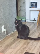 �����. ����