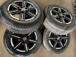 Bearway. ������, ��� �����, 2025 ���, �/�, ����� 5 %. ��� ���� ����