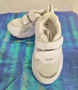 ���������. 25 ����