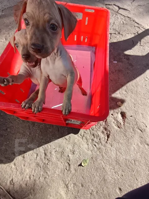 ������������ ����� ������. ����