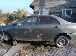 Toyota Corolla ����
