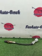 ������-���� Toyota NOAH 8946528430 AZR60 1AZ-FSE 8946528430 ����
