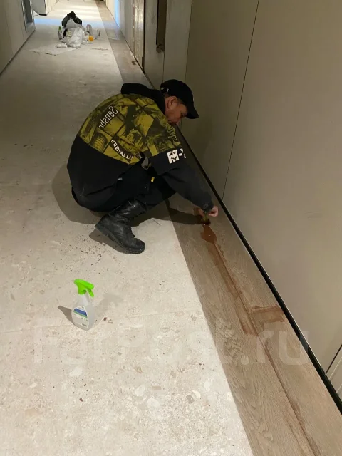 ������������, �������-����������. ����