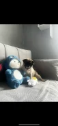 ����. ����