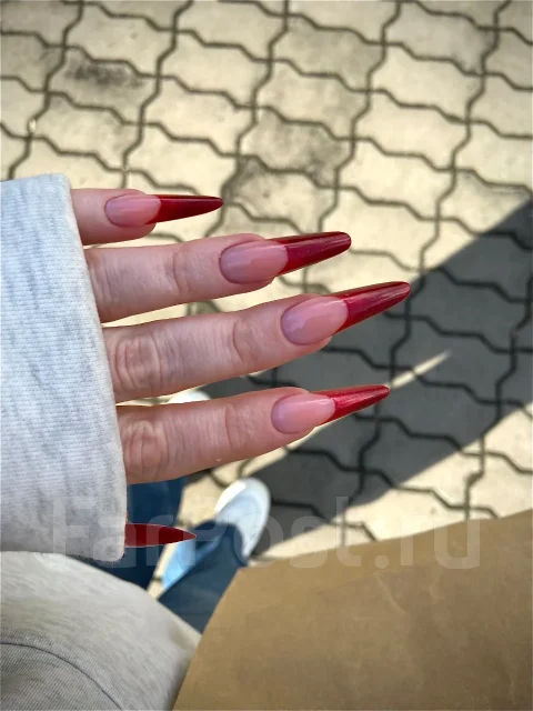 �������. ����