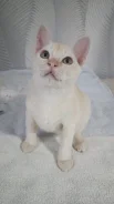 ��������. ��� ����� �� �������-��-���� ����