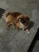 ������. ����