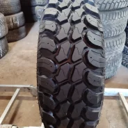 Trazano SL366. ����� mt, 2026 ���, ����� ����