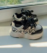 ���������. 26 ����