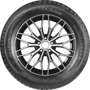 AutoGreen Wintercross WL6