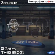 ��������� Gates ���. TH62950G1 TH62950G1 ����