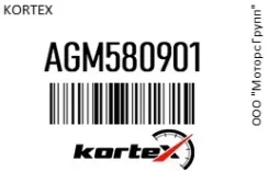 Kortex