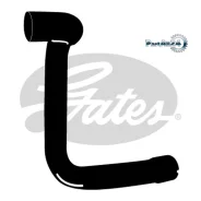 �������� ��������� FORD Focus 1.4/1.6 98 Gates 3964 3964 ����