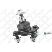 ����� ������� | ��� | VW GOLF VII 1.4 TGI CNG 1318/ VW GOLF VII 1.6 TDI 1317/VW Jetta IV 1.6 1118Skoda Octavia II 2.0 TFSI 0513 Stellox 5200437SX 5200...