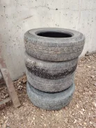 Triangle TR288. ����� at, 2020 ���, �/�, ����� 60 % ����