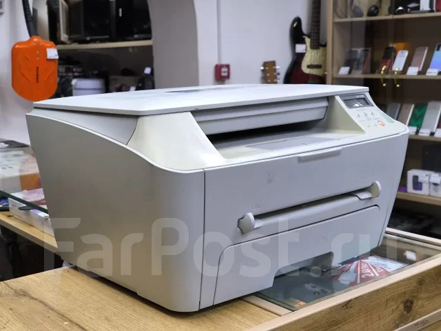 ��� ��������. ����