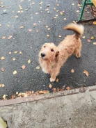 ������. ����