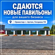 ������ ���������� �� ����� ��������. 125��&sup2;, ���������� ����, ���������� ��������� �����, �����, ����� �������� 113, �-� �������, 1/1 ���� ����