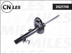 ����������� �������� ������ ������� Miles DG21748 DG21748 ����
