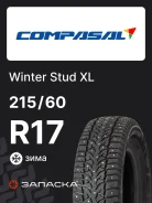 Compasal Winter Stud