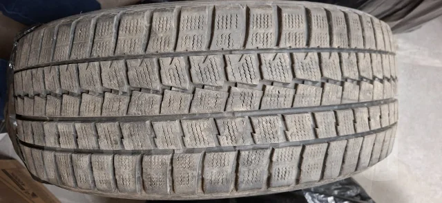 Dunlop Digi-Tyre. ������, ��� �����, �/�, ����� 25 % ����