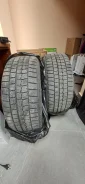Dunlop Digi-Tyre. ������, ��� �����, �/�, ����� 25 % ����