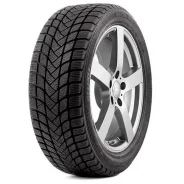 Delinte Winter WD6