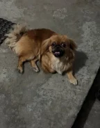 �������. ����
