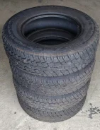 Horizon. ����� at, �/�, ����� 5 % ����