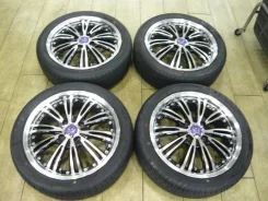 Kyoho Steiner WX5
