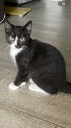 �����. ����