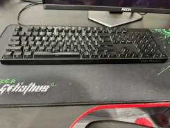 ����������. ����