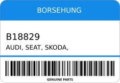 ��������� ������� ��������� AUDI, SEAT, Skoda, VW 1.6TFSI-5.2 04- Borsehung B18829 B18829 ����