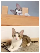 �����. ����