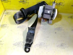������ ������������ Ford Ecosport CN15A61295, �������� ����� CN15A61295 ����
