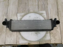 �/� ���������� Exceed TXL 2020- 302000507AA ����