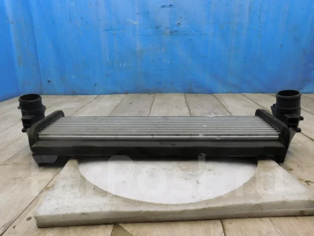 �/� ���������� Exceed TXL 2020- 302000507AA ����
