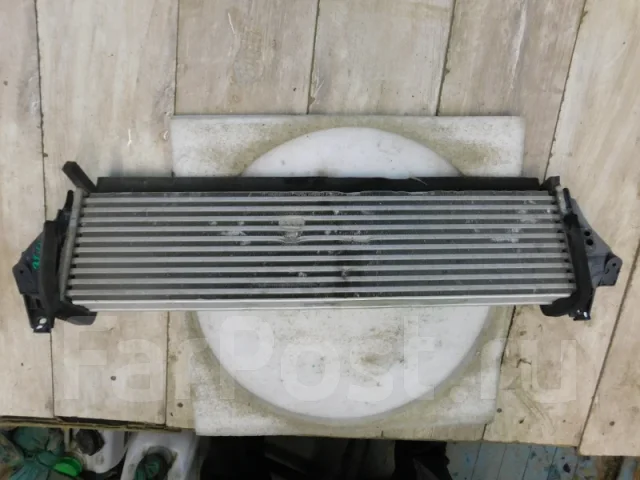 �/� ���������� Exceed TXL 2020- 302000507AA ����
