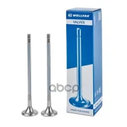 ������ ��������� ��� ������ �� �� D13A 40x8x191.7 Wellfar 101216090 ����