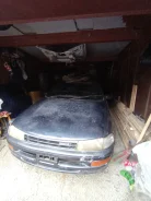 Toyota Carina ����