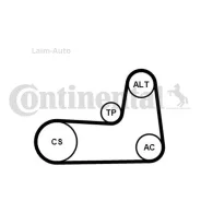 ������ ������������ � ��������, �������� Renault Clio/Megane II/Kangoo, Nissan Almera/Micra 1.4/1.6/1.5DCI 00- 5PK1125K1 ����