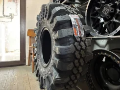 CST Dragon Claw CL21M. ����� mt, 2026 ���, ����� ����